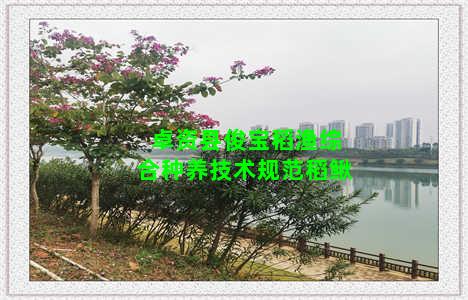 卓资县俊宝稻渔综合种养技术规范稻鳅