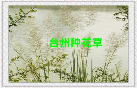 台州种花草