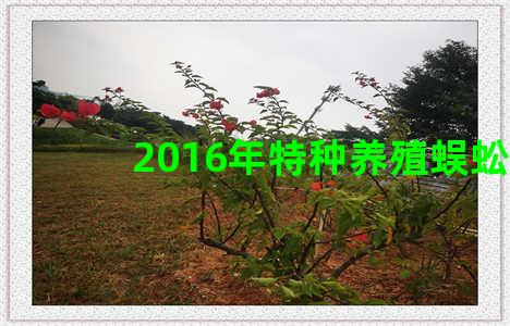 2016年特种养殖蜈蚣