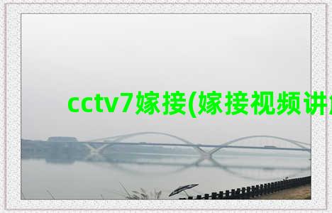 cctv7嫁接(嫁接视频讲解)