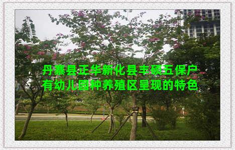 丹寨县正华新化县丰硕五保户有幼儿园种养殖区呈现的特色