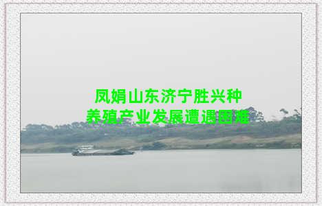 凤娟山东济宁胜兴种养殖产业发展遭遇困难