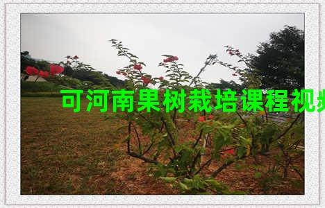 可河南果树栽培课程视频