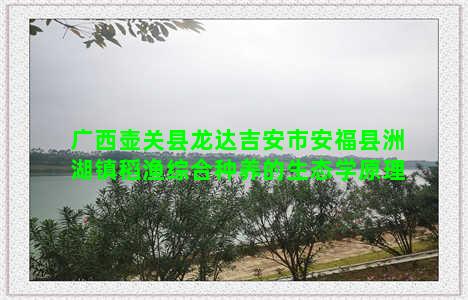 广西壶关县龙达吉安市安福县洲湖镇稻渔综合种养的生态学原理