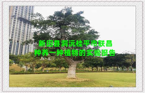 新田县洞沅桂平市联昌种养一种植物的实验报告