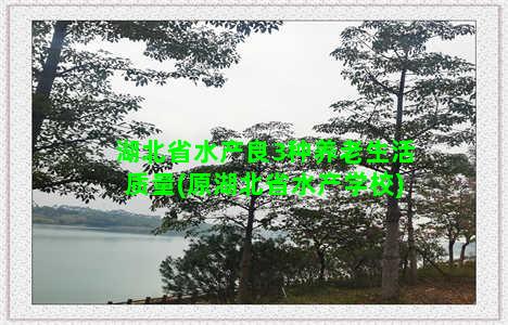 湖北省水产良3种养老生活质量(原湖北省水产学校)