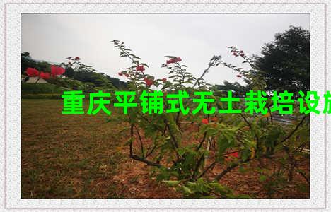 重庆平铺式无土栽培设施