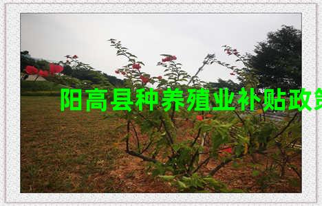 阳高县种养殖业补贴政策